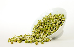mash sprouts