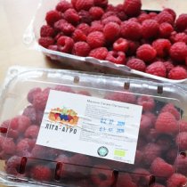 Organic frozen raspberries, 250 g