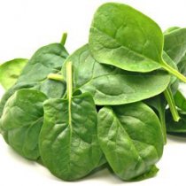 Organic SPINACH Family Dobrobut, 100 g